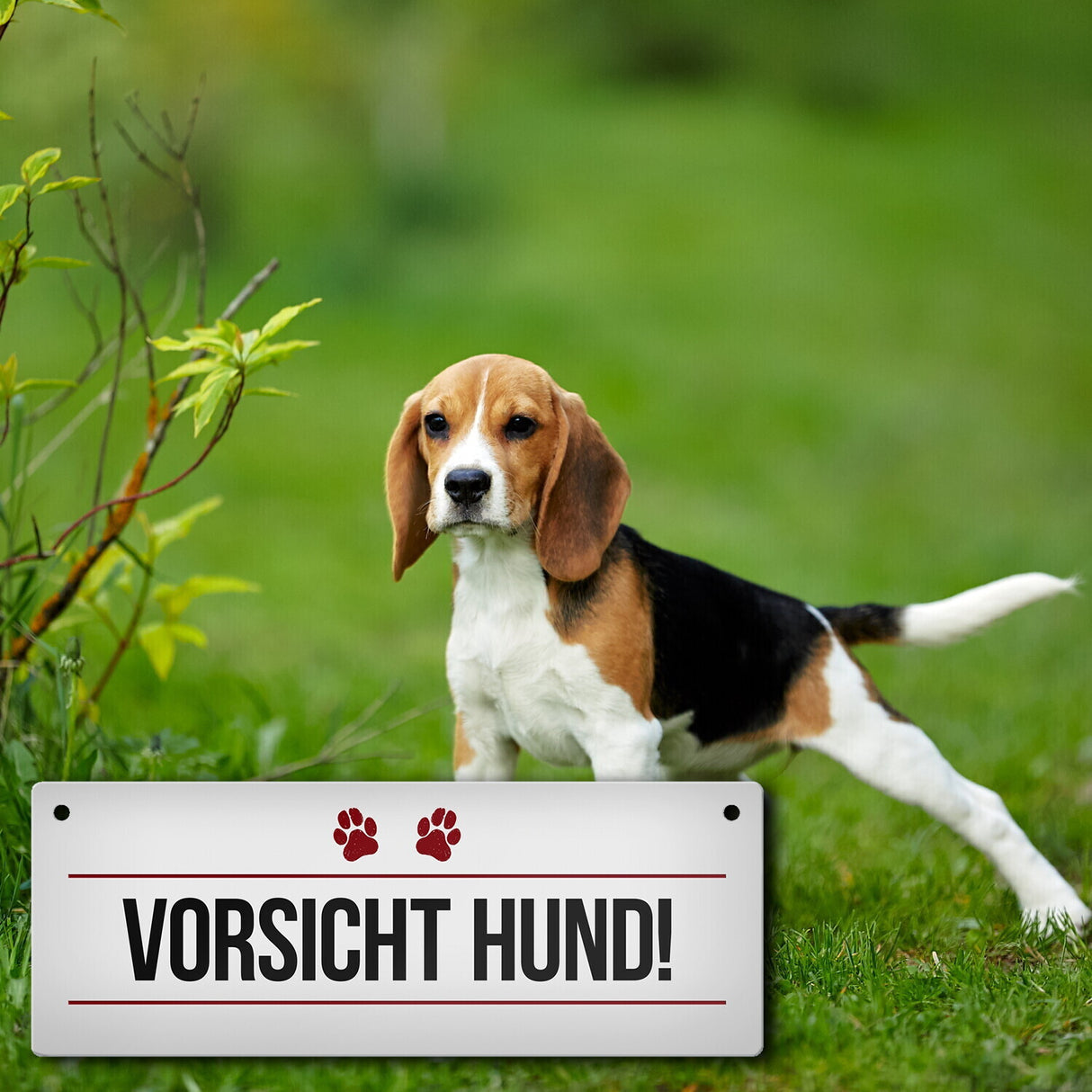 Vorsicht Hund! Metallschild mit Pfoten Motiv - Warnung Hinweis Achtung Warnschild