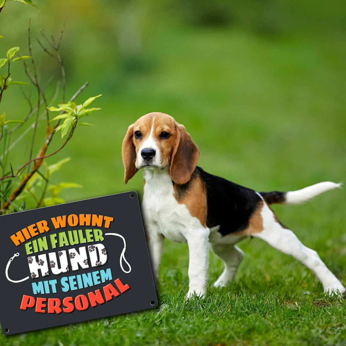 Hier wohnt ein fauler Hund mit seinem Personal Metallschild