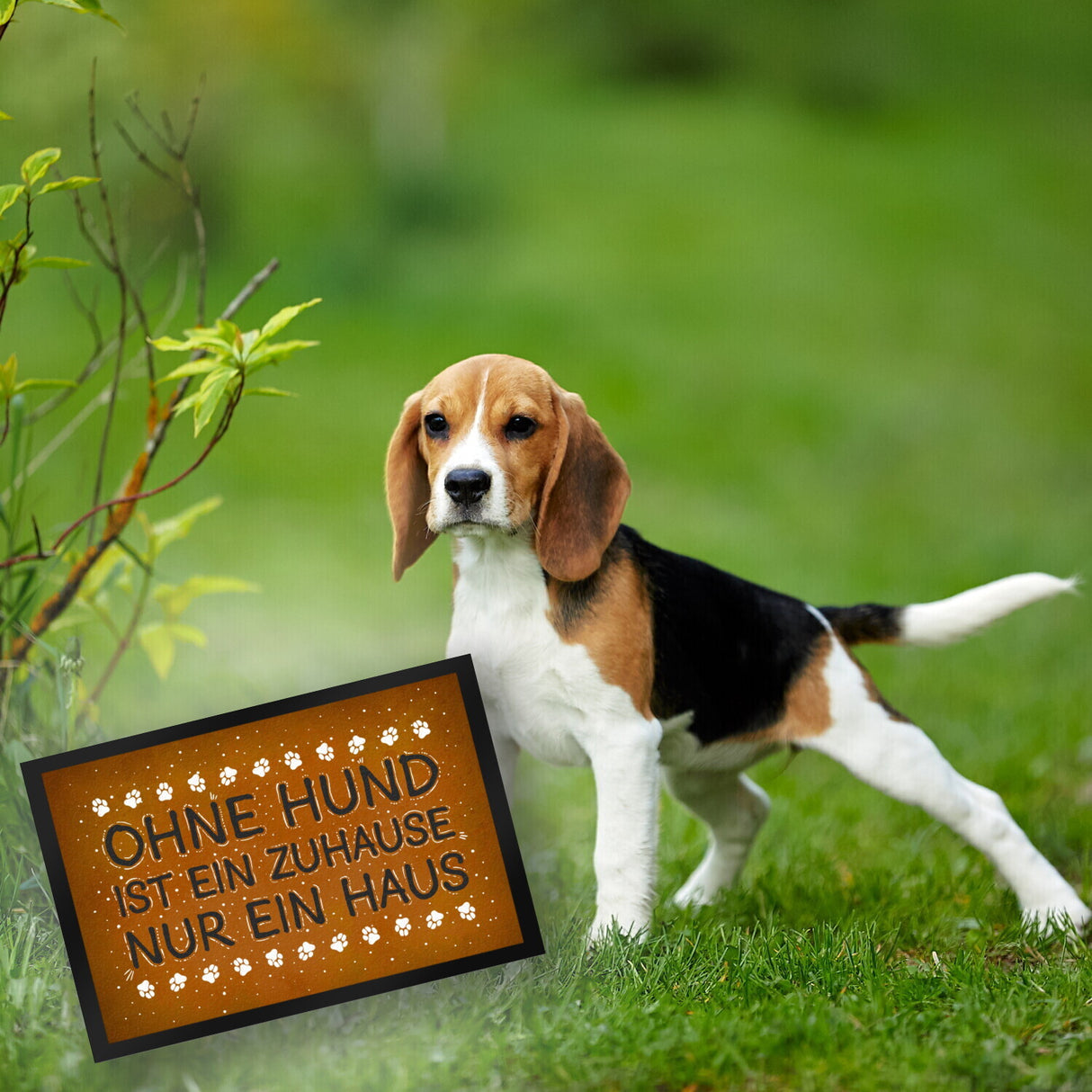 Ohne Hund ist ein Zuhause nur ein Haus Fußmatte - Haus Familie Liebe Haus Wohnung Freunde Haustier