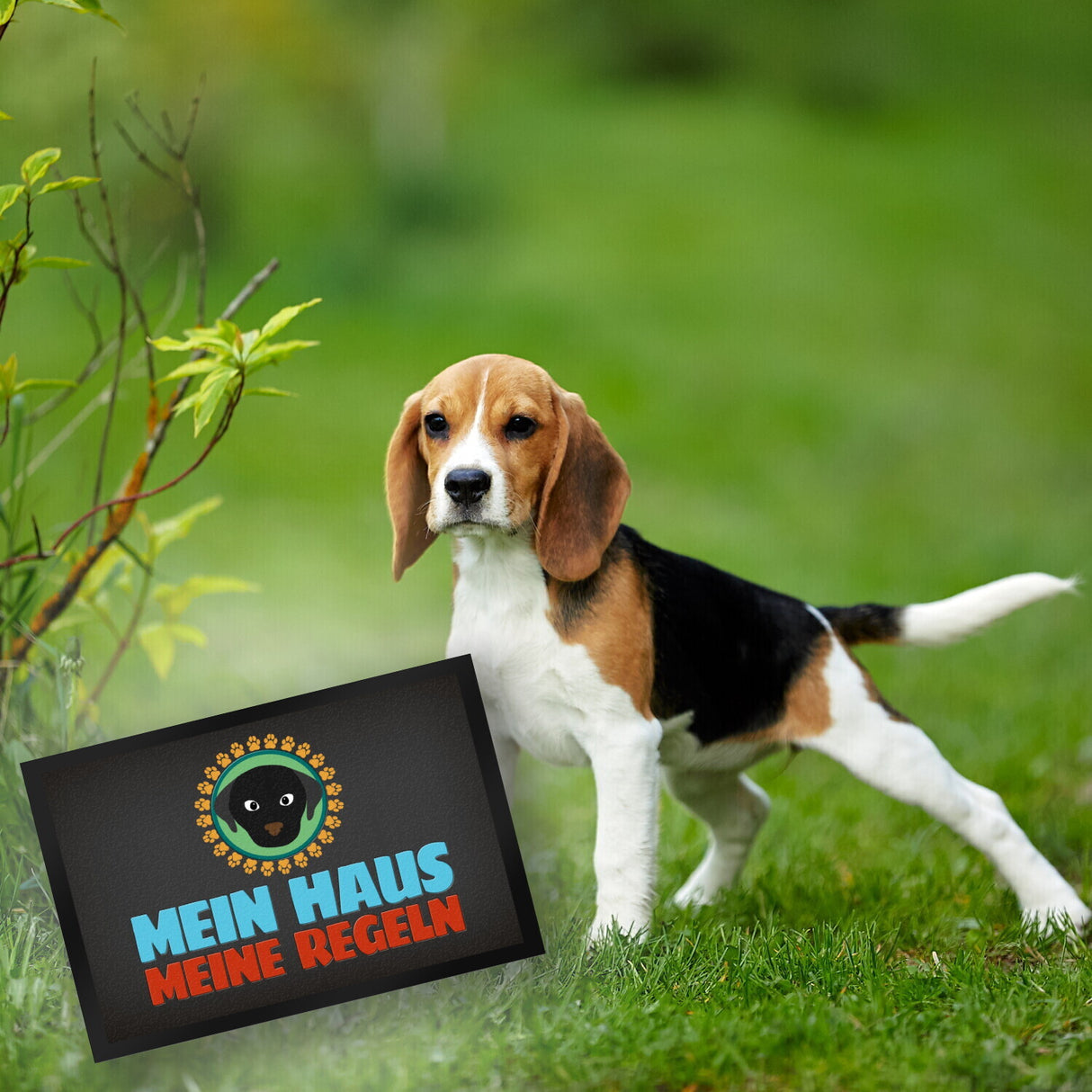 Mein Haus meine Regeln Fußmatte mit Hund Motiv - Haustier Hunde Wohnung Haus Familie Zuhause Rudel