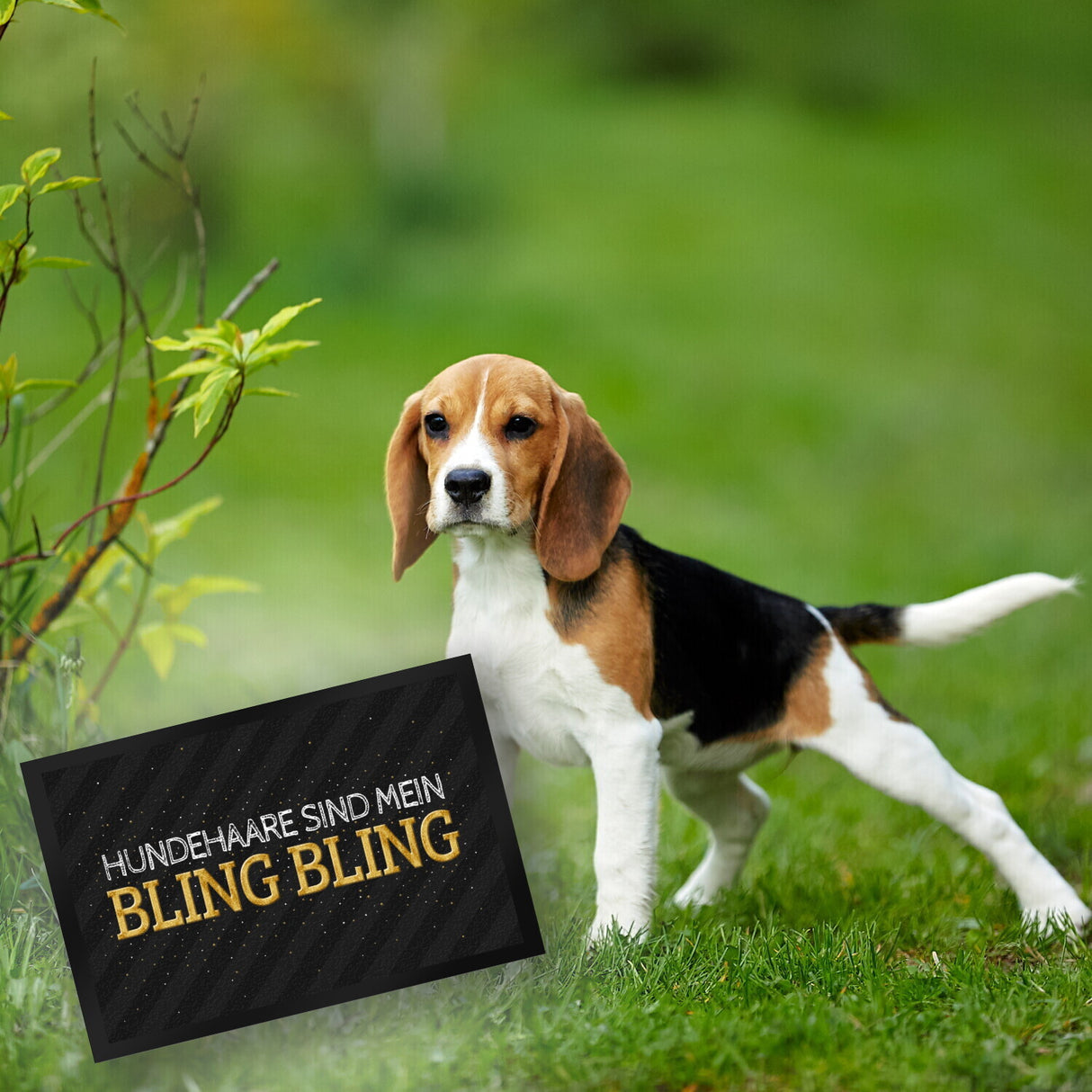Hundehaare sind mein Bling Bling Fußmatte