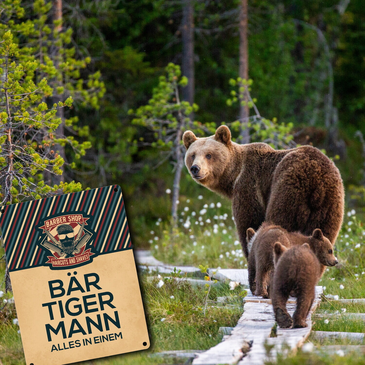 Bär-Tiger-Mann alles in einem Metallschild mit Barber-Shop Motiv