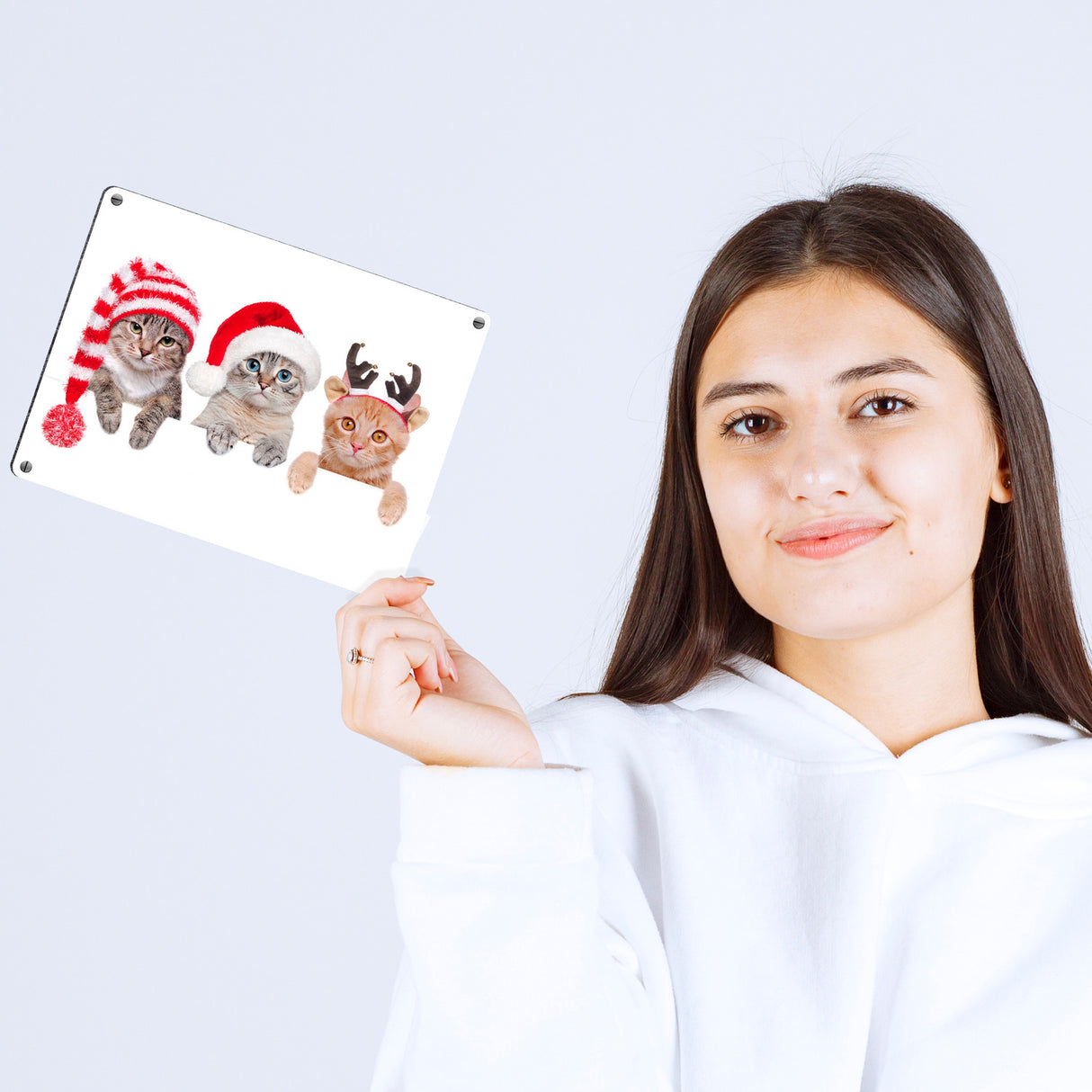 Niedliche Kätzchen Metallschild im Weihnachtsstyle