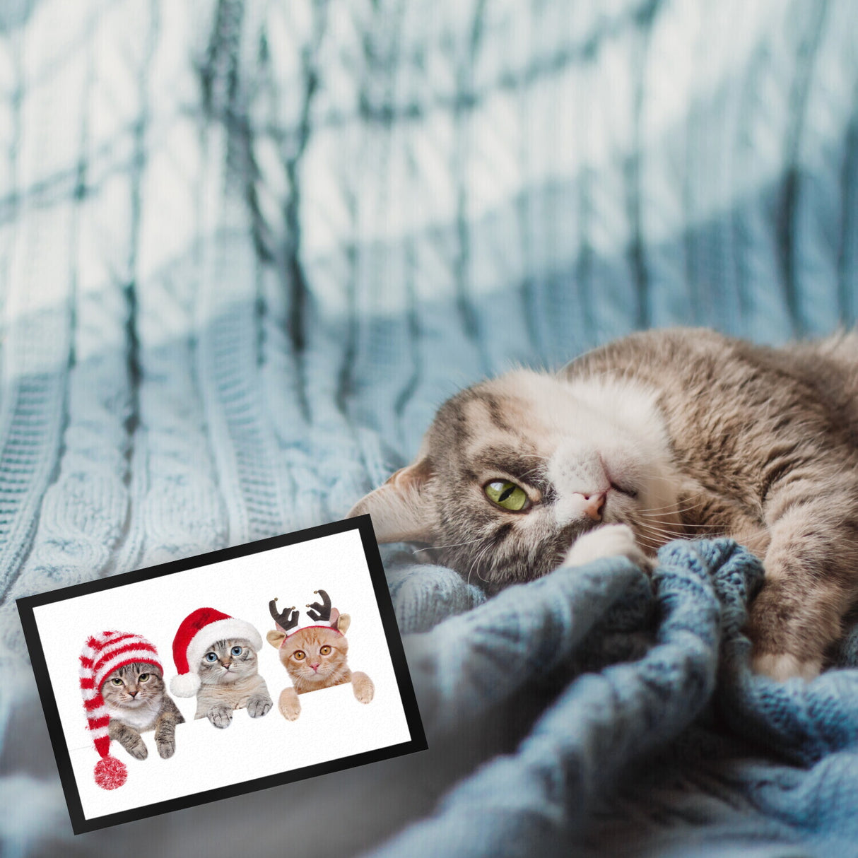 Katzen Fußmatte mit Weihnachts-Motiv