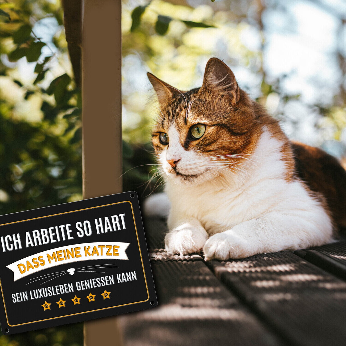 Luxusleben Katze Metallschild mit Barthaar Motiv - Haustier Luxus Arbeit Kater Katze Büro