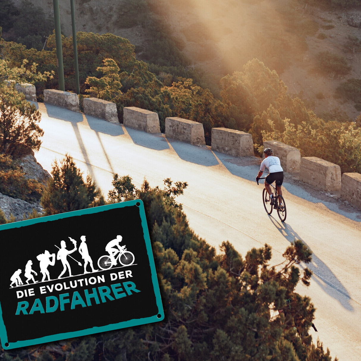 Die Evolution der Radfahrer Metallschild