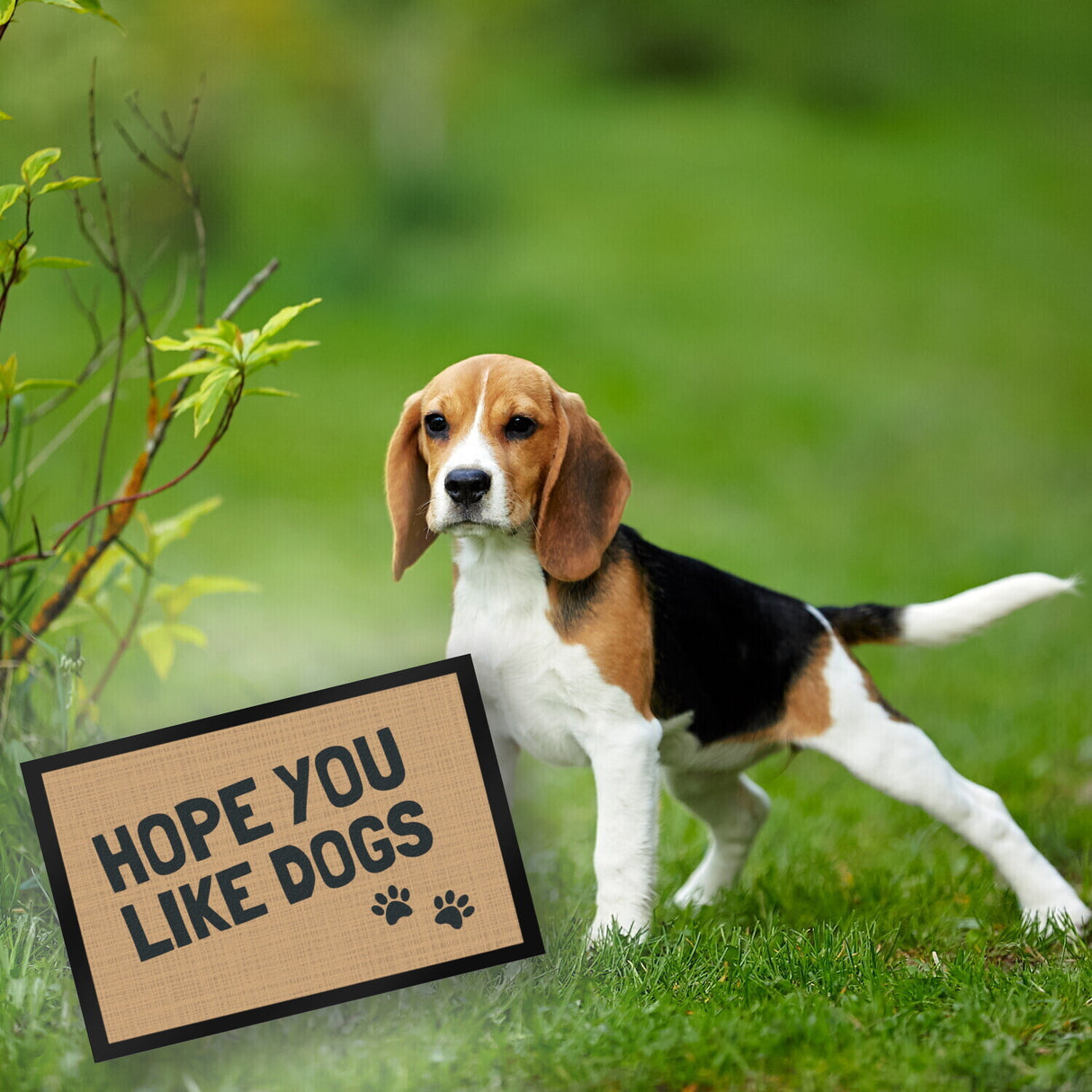 Fußmatte Hope you like dogs mit Pfotenabdruck - Türmatte Hund Haustier
