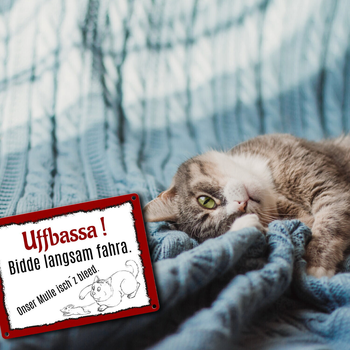 Aufpassen und langsam fahren - unsere Katze ist zu blöd Metallschild in 15x20 cm