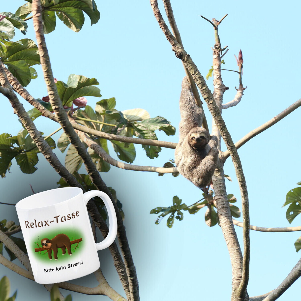 Kaffeebecher Relax-Tasse Bitte kein Stress mit schlafendem Faultier