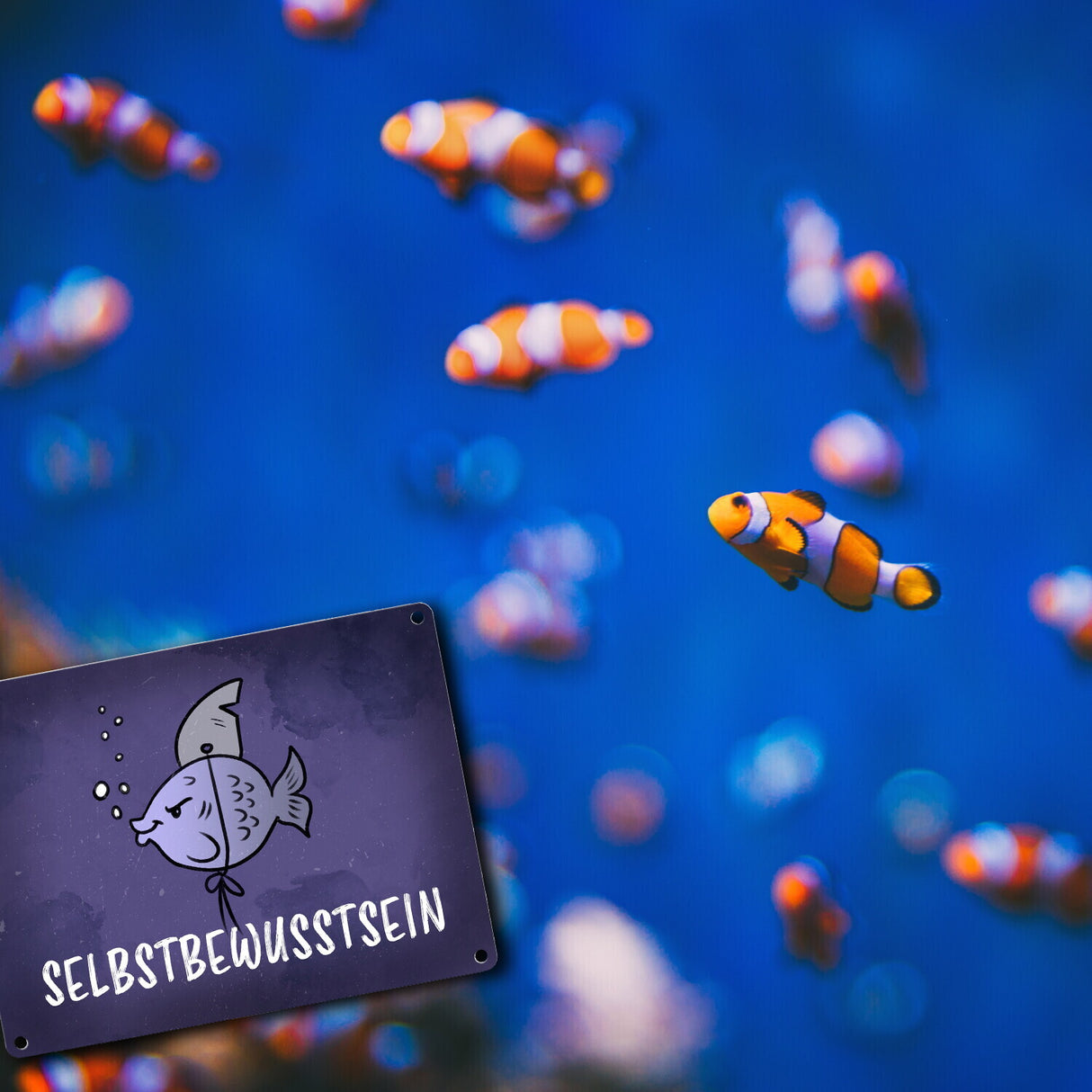 Selbstbewusstsein - Metallschild mit dem gewitzten Fisch mit Haifischflosse
