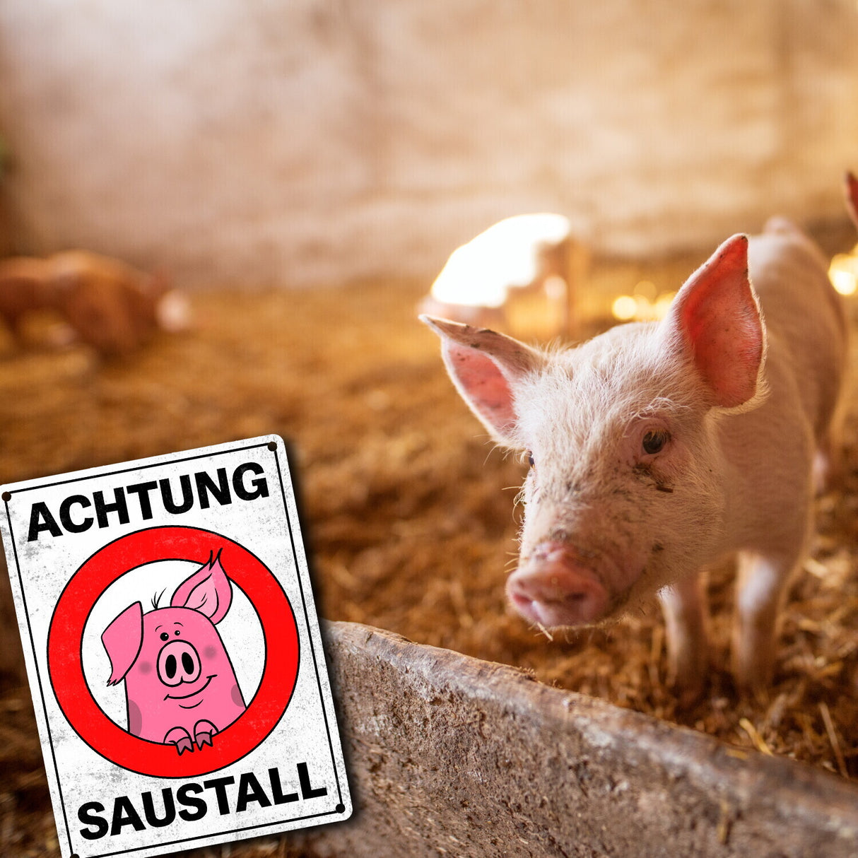 Achtung Saustall Metallschild mit lustigem Comic-Schwein in einem Warnkreis