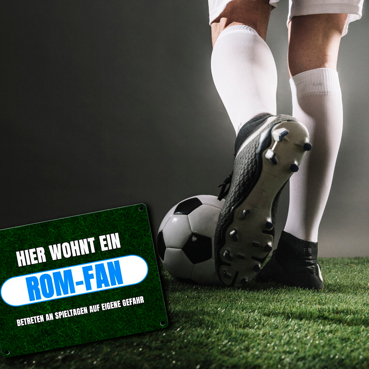 Hier wohnt ein Rom-Fan Metallschild in 15x20 cm mit Rasenmotiv