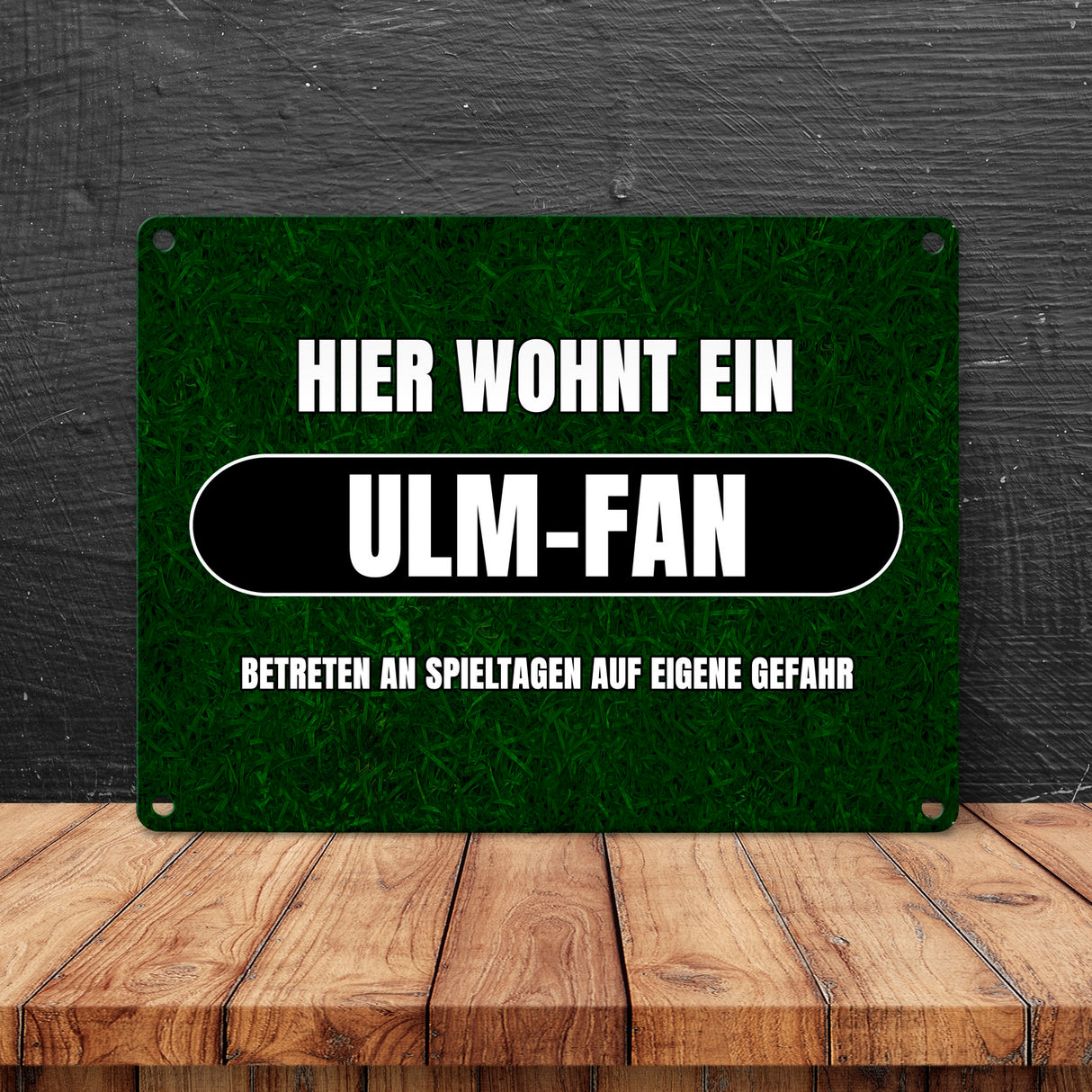 Hier wohnt ein Ulm-Fan Metallschild in 15x20 cm mit Rasenmotiv