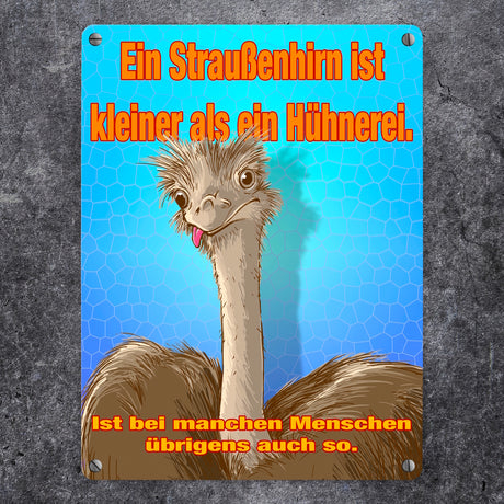 Metallschild Spruch - Ein Straußenhirn ist kleiner als ein Hühnerei