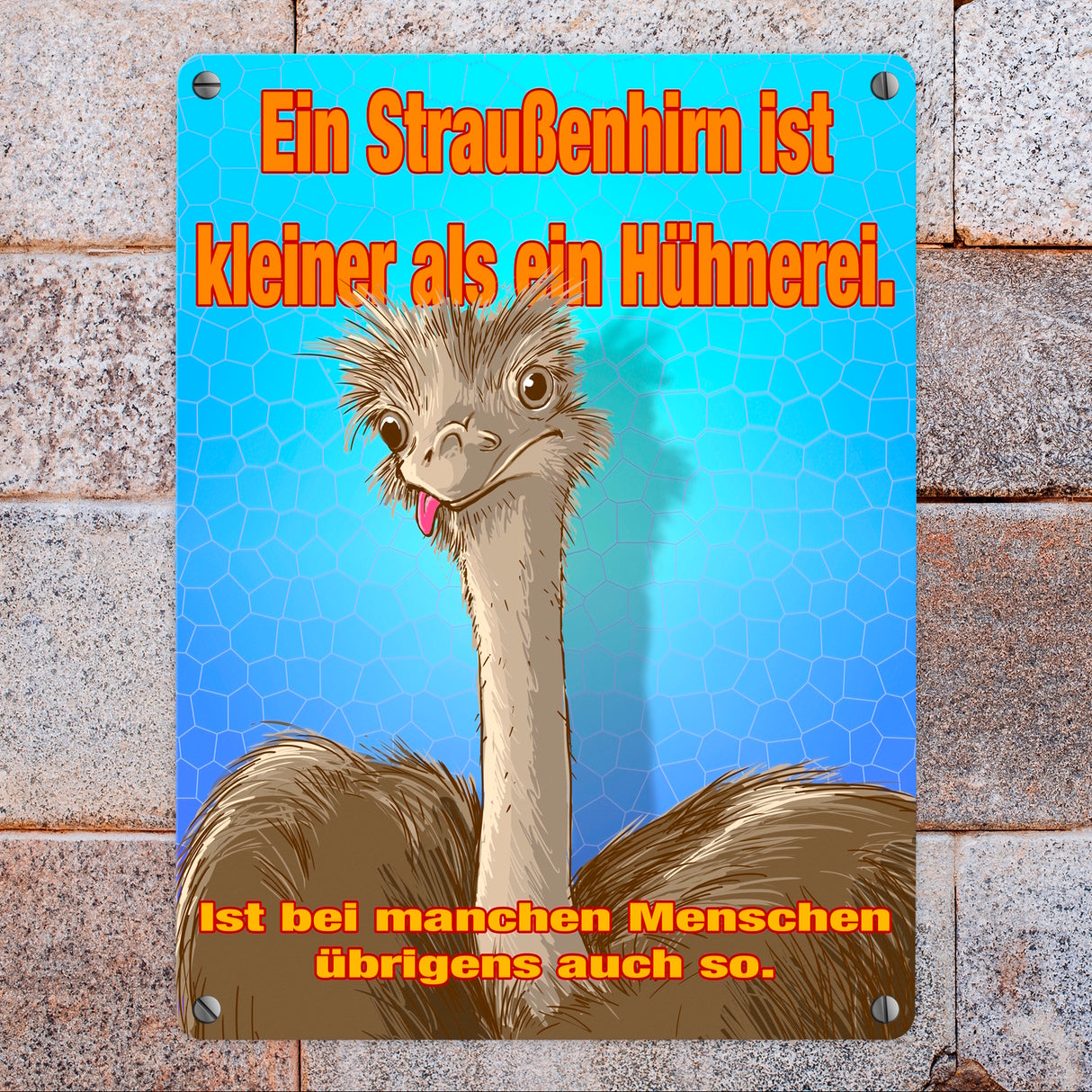 Metallschild Spruch - Ein Straußenhirn ist kleiner als ein Hühnerei