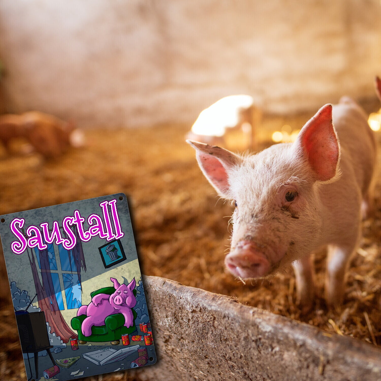 Metallschild mit Motiv - Saustall und Motiv: dickes Schwein liegt auf Couch