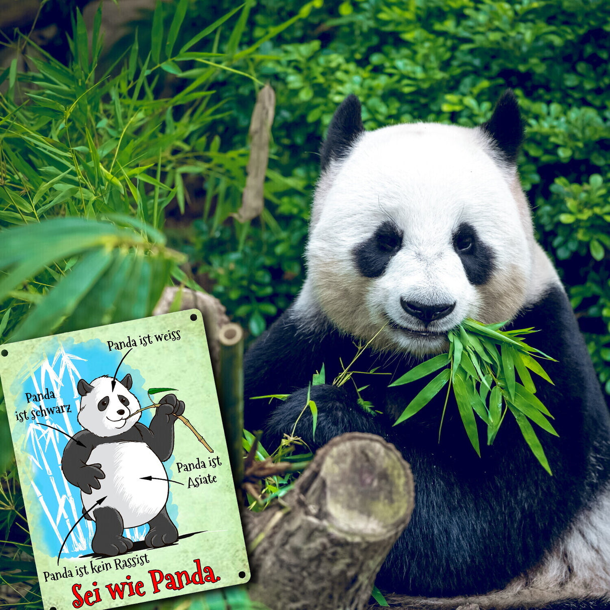 Metallschild mit Toleranz Statement - Panda ist kein Rassist SEI WIE PANDA.