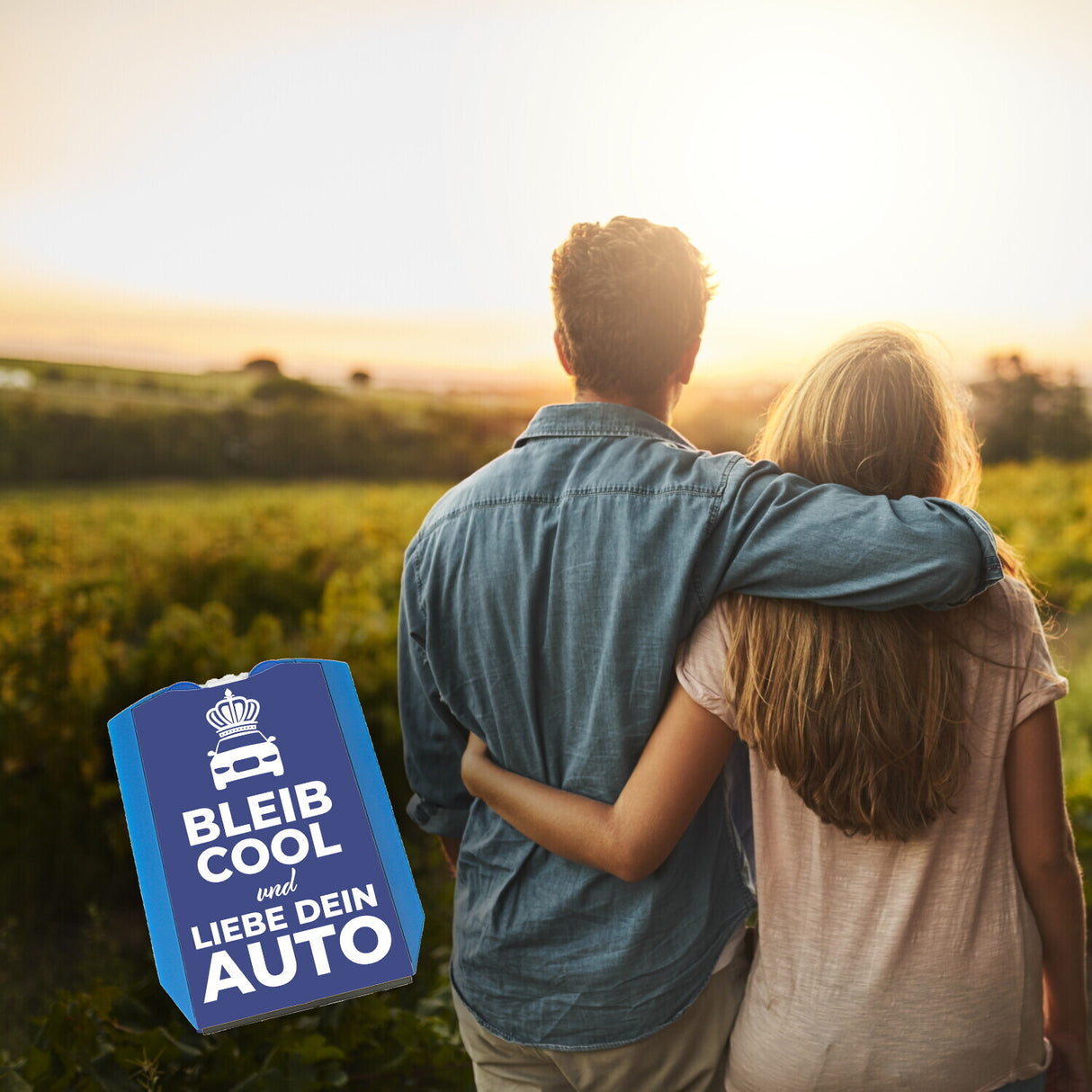Bleib cool und liebe dein Auto Parkscheibe mit 2 Einkaufswagenchips