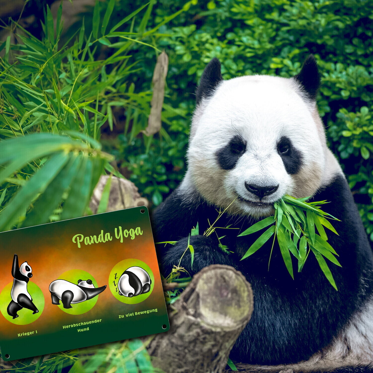 Panda Yoga Metallschild mit Yoga Übungen und Pandabären