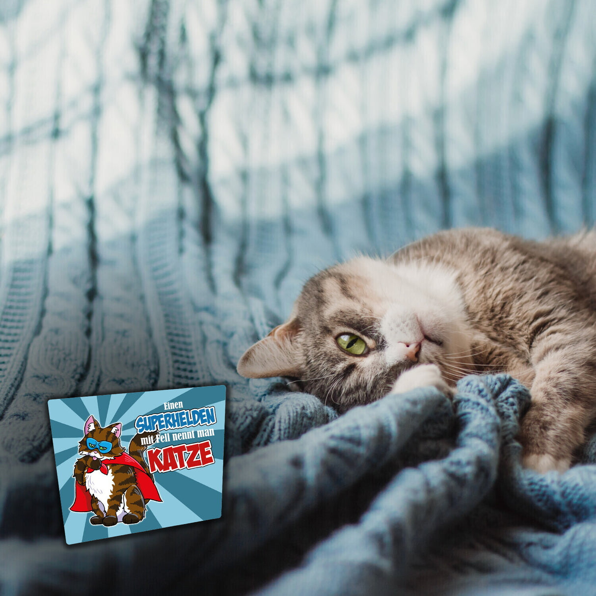 Superkatzen Kühlschrankmagnete im 8er-Set