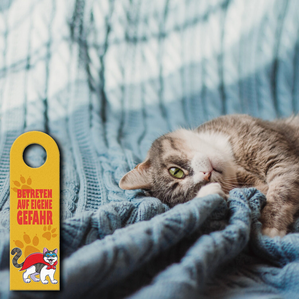 Türhänger Katzen-Motiv - Betreten auf eigene Gefahr oder Komm rein es ist sicher