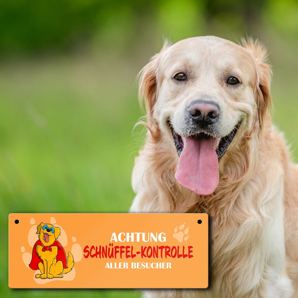 Metallschild mit Golden Retriever - Achtung Schnüffel-Kontrolle aller Besucher