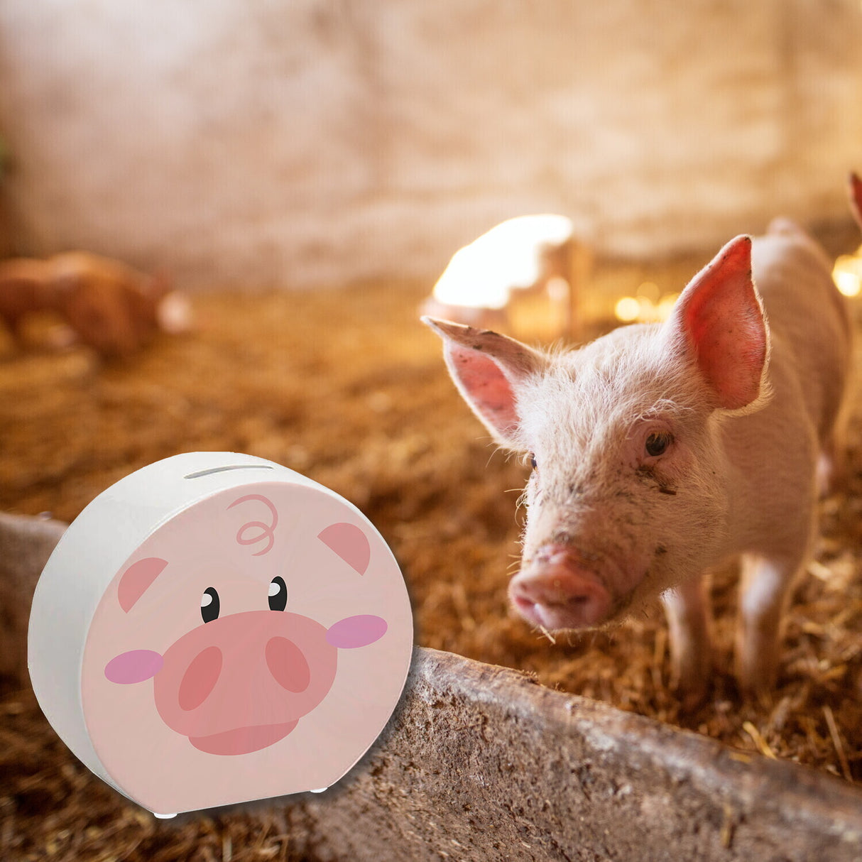 Spardose aus Keramik mit niedlichem Schweine-Gesicht - für kleine Kinder