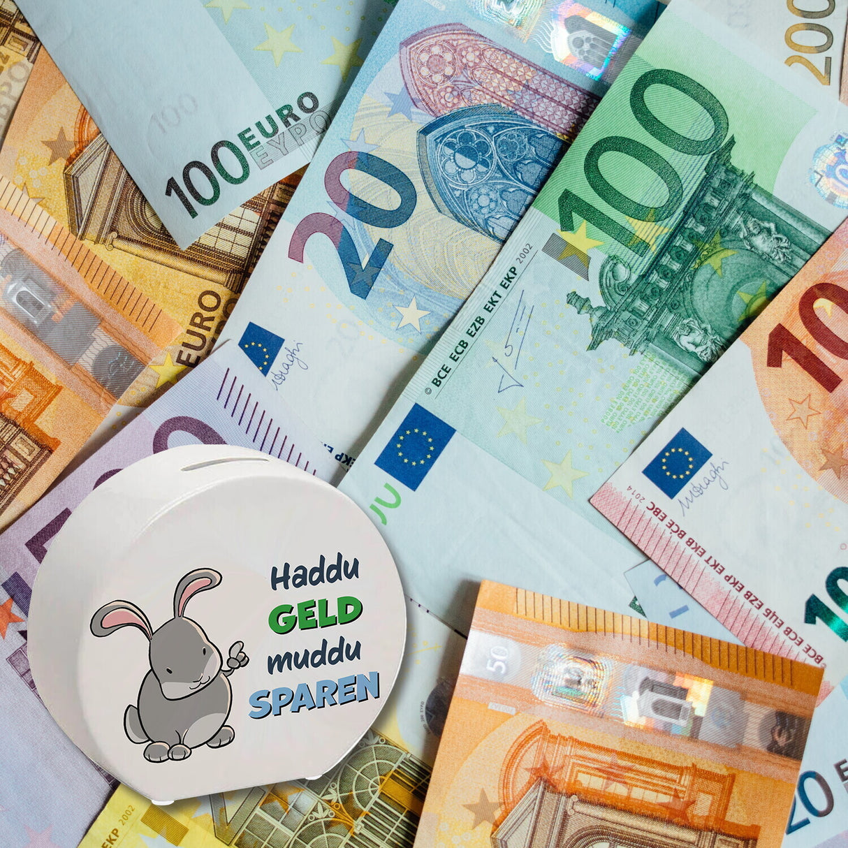 Spardose mit Hasenmotiv und lustigem Spruch - Haddu Geld muddu sparen