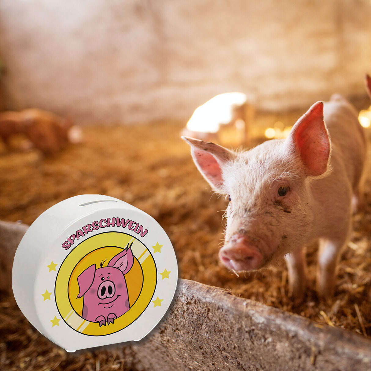 Spardose mit lustigem Schweinchen Motiv und Spruch - Sparschwein