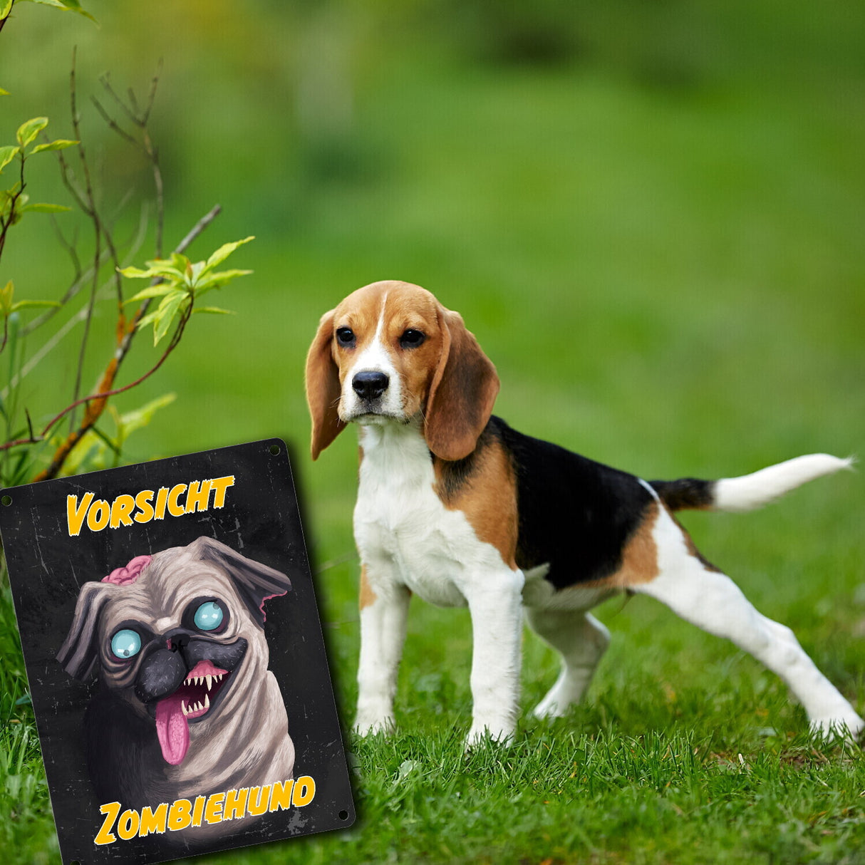 Vorsicht Zombiehund Metallschild in dunkelgrau