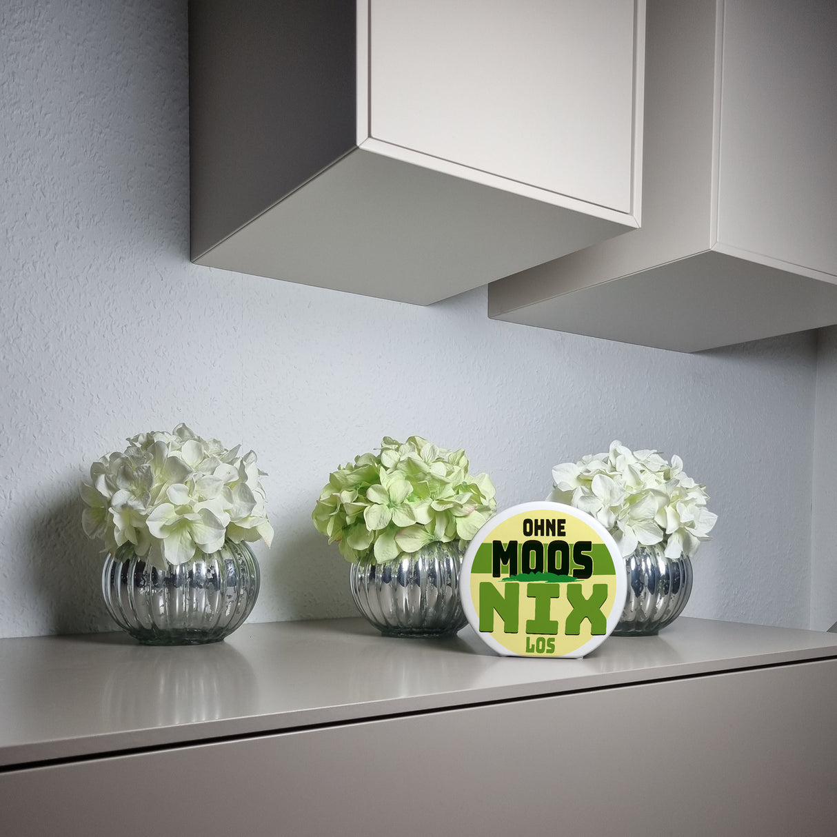 Spardose mit lustigem Motiv und Spruch: Ohne Moos nix los