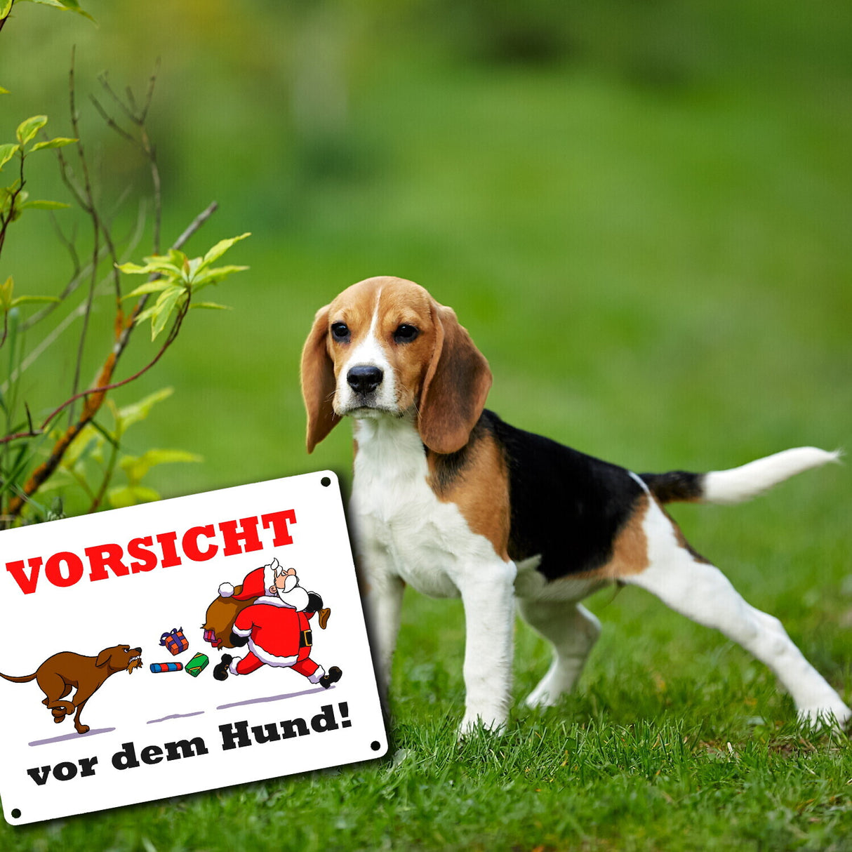Metallschild mit Spruch und Weihnachtsmotiv - Vorsicht vor dem Hund!
