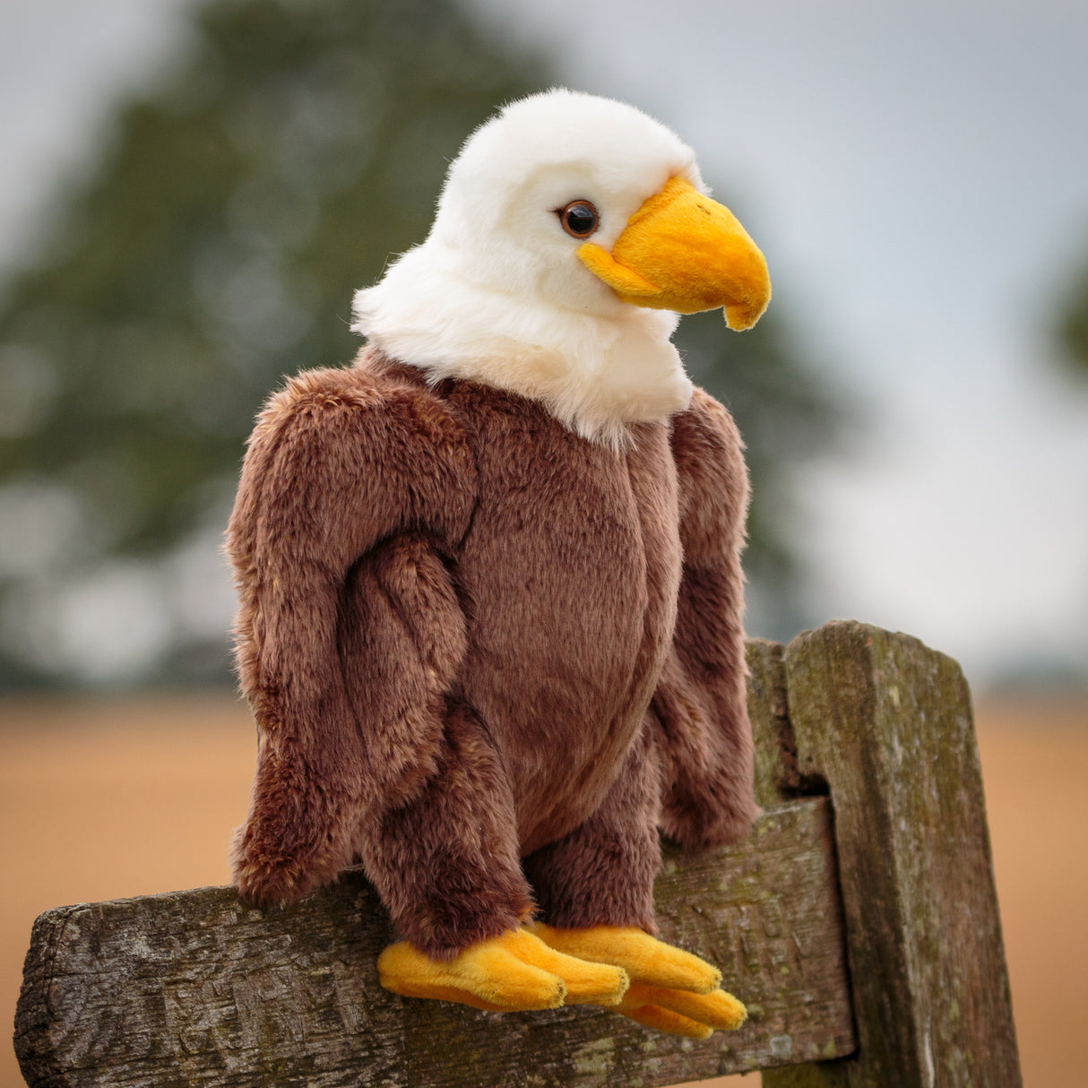 Adler Animigos Kuscheltier