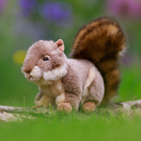 Eichhörnchen Animigos Kuscheltier