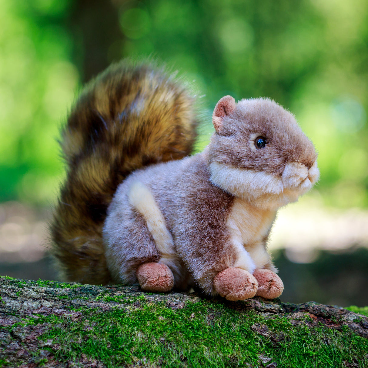 Eichhörnchen Animigos Kuscheltier