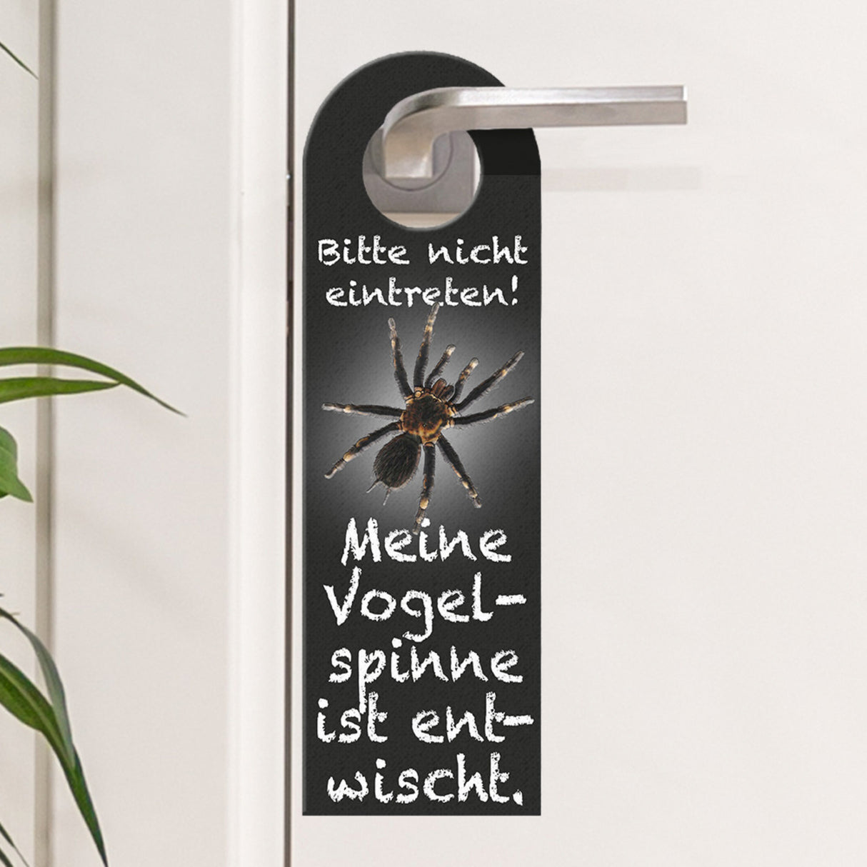 Bitte nicht eintreten oder Gefahr gebannt Türhänger mit Vogelspinne Motiv