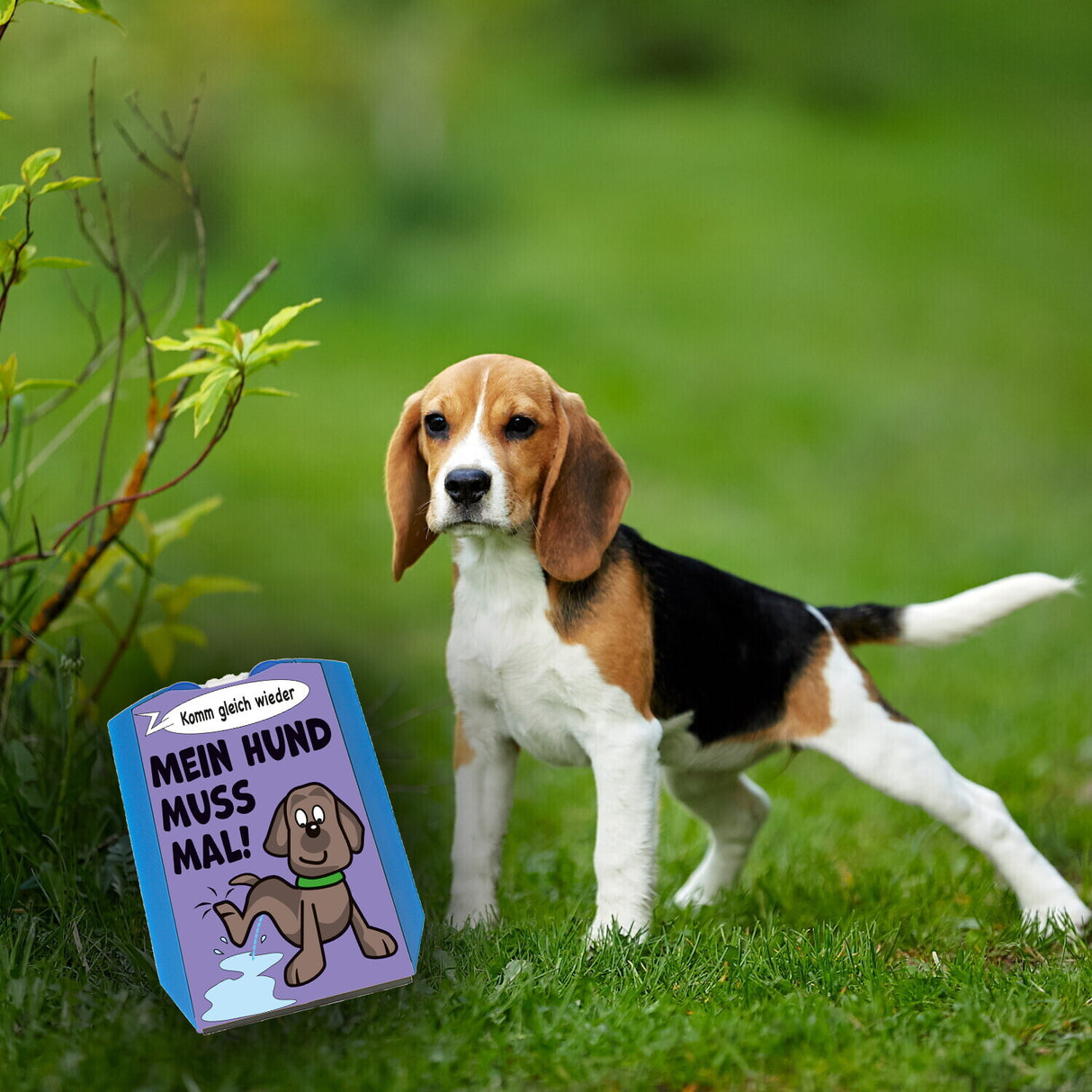 Hund muss mal! Parkscheibe in lila mit 2 Einkaufswagenchips