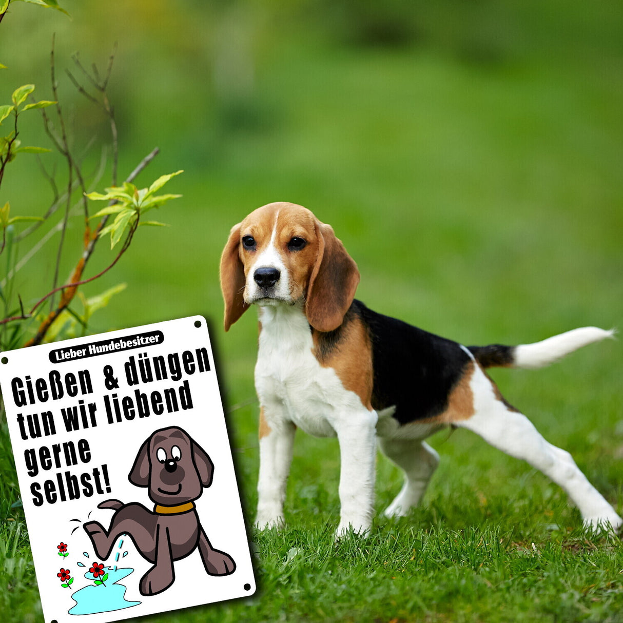 Gießen und düngen - Kein Hundeklo Schild
