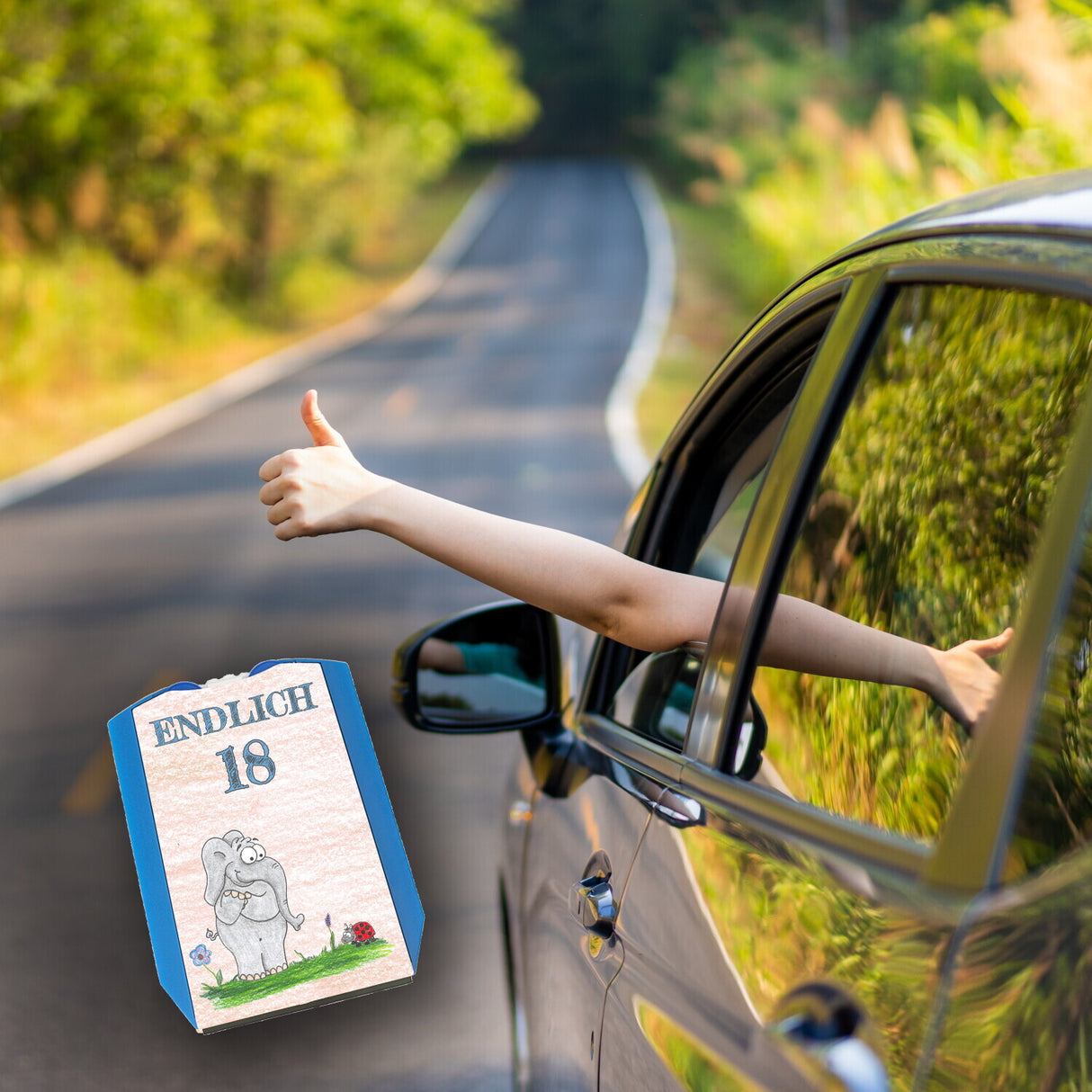 Endlich 18 Parkscheibe mit verliebtem Elefanten