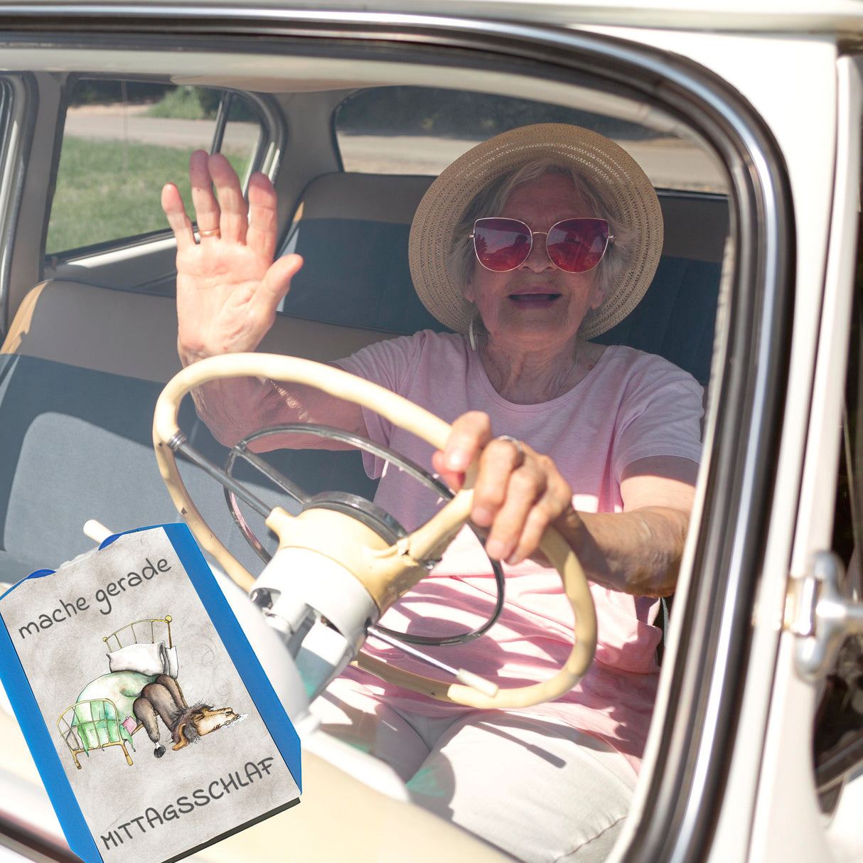 mache gerade Mittagsschlaf Parkscheibe mit Lama