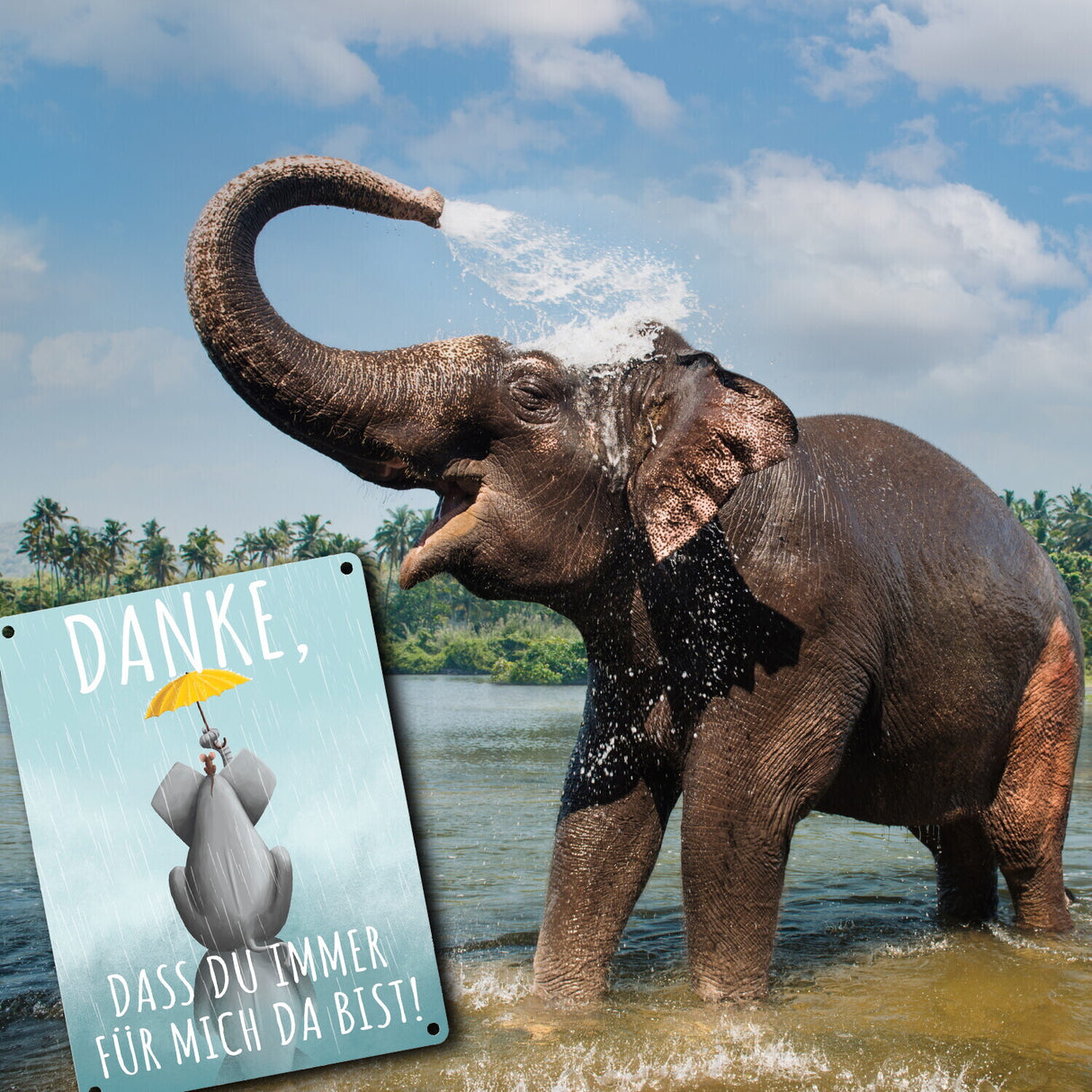 Danke, dass du immer für mich da bist Elefant Metallschild