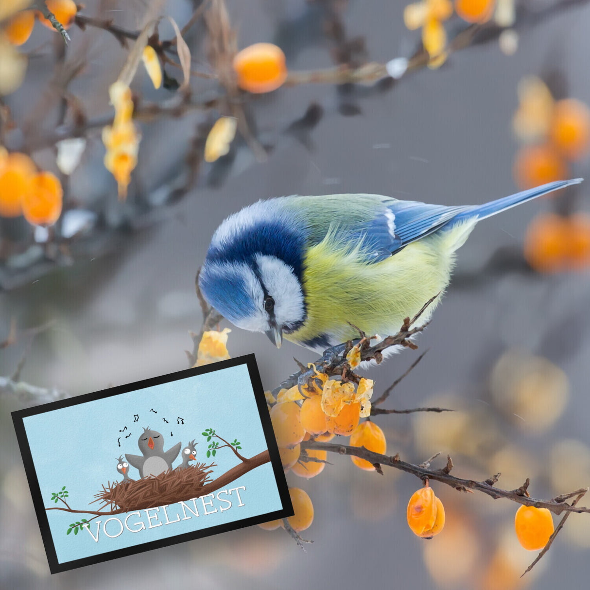 Vogelnest Fußmatte mit zwitscherndem Vogel