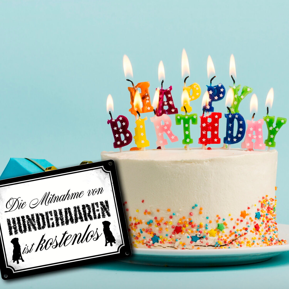 Die Mitnahme von Hundehaaren ist kostenlos Metallschild