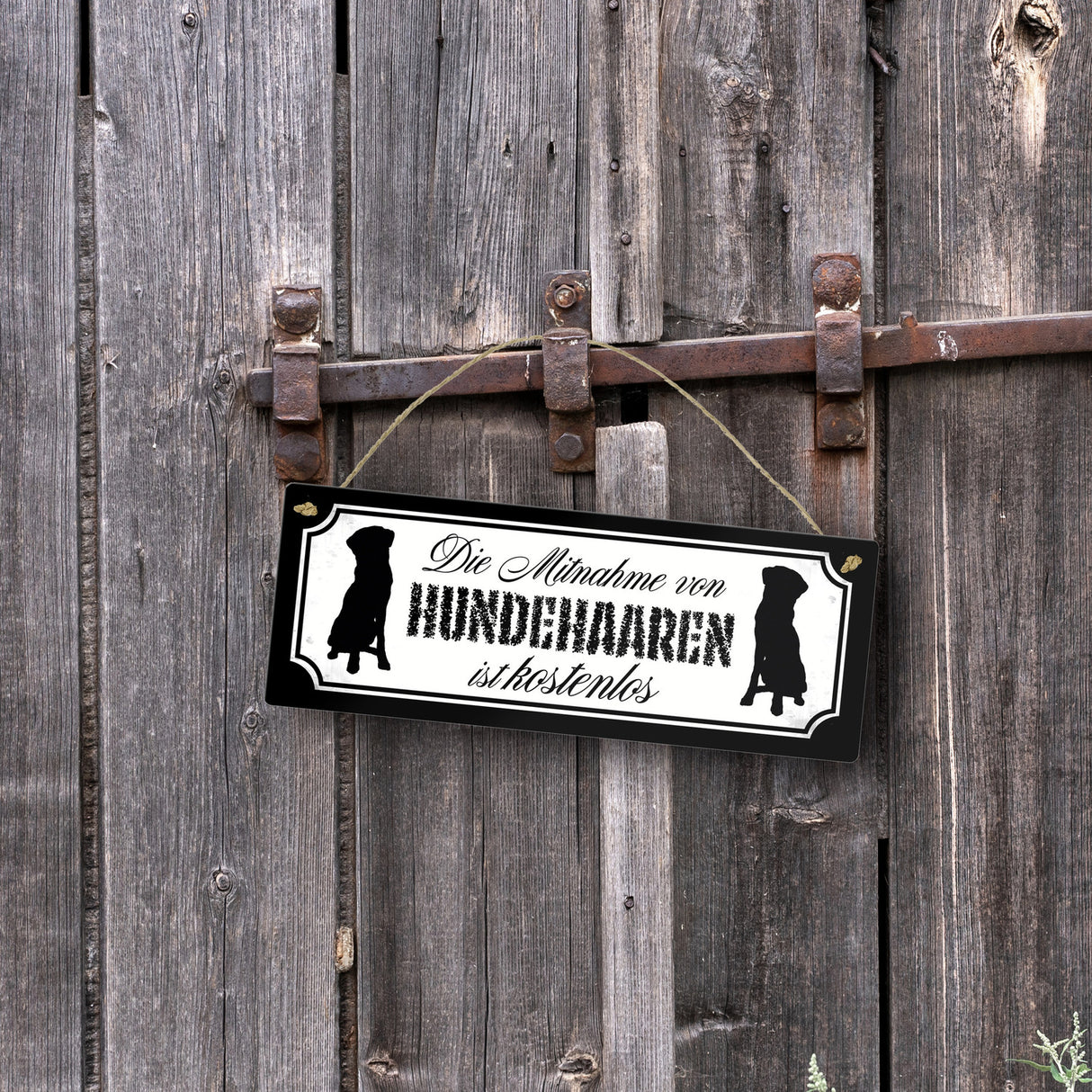 Die Mitnahme von Hundehaaren ist kostenlos Metallschild