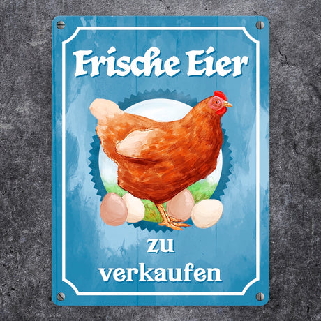 Frische Eier zu verkaufen Metallschild mit Huhn Motiv