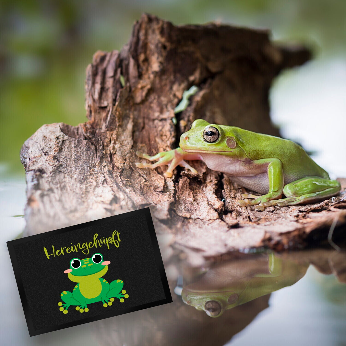 Hereingehüpft Fußmatte mit süßem Frosch