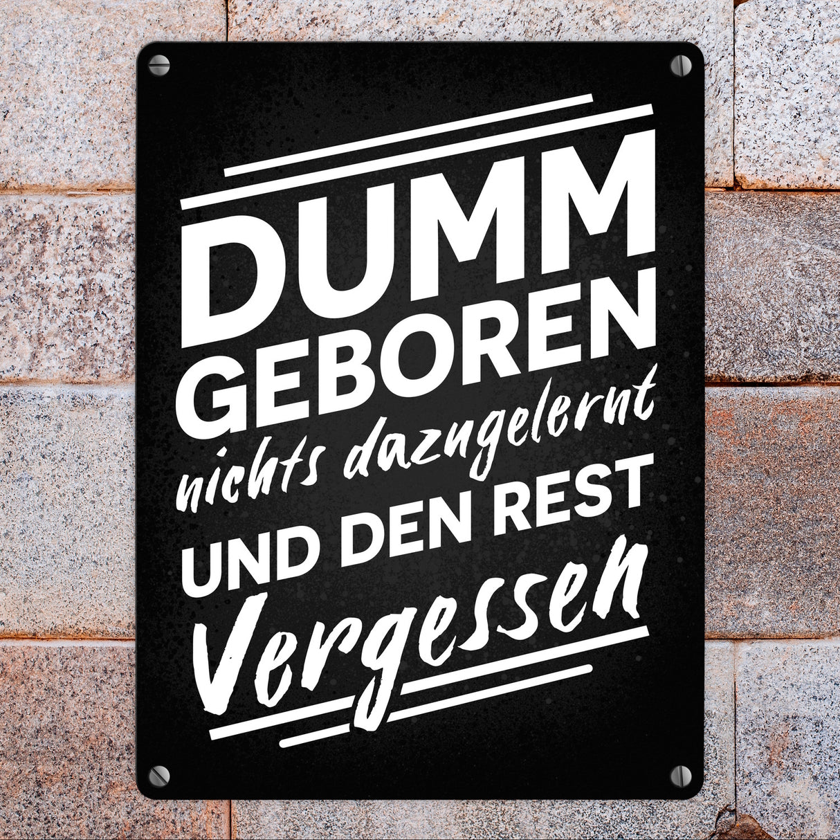 Dumm geboren nichts dazugelernt und den Rest vergessen Metallschild