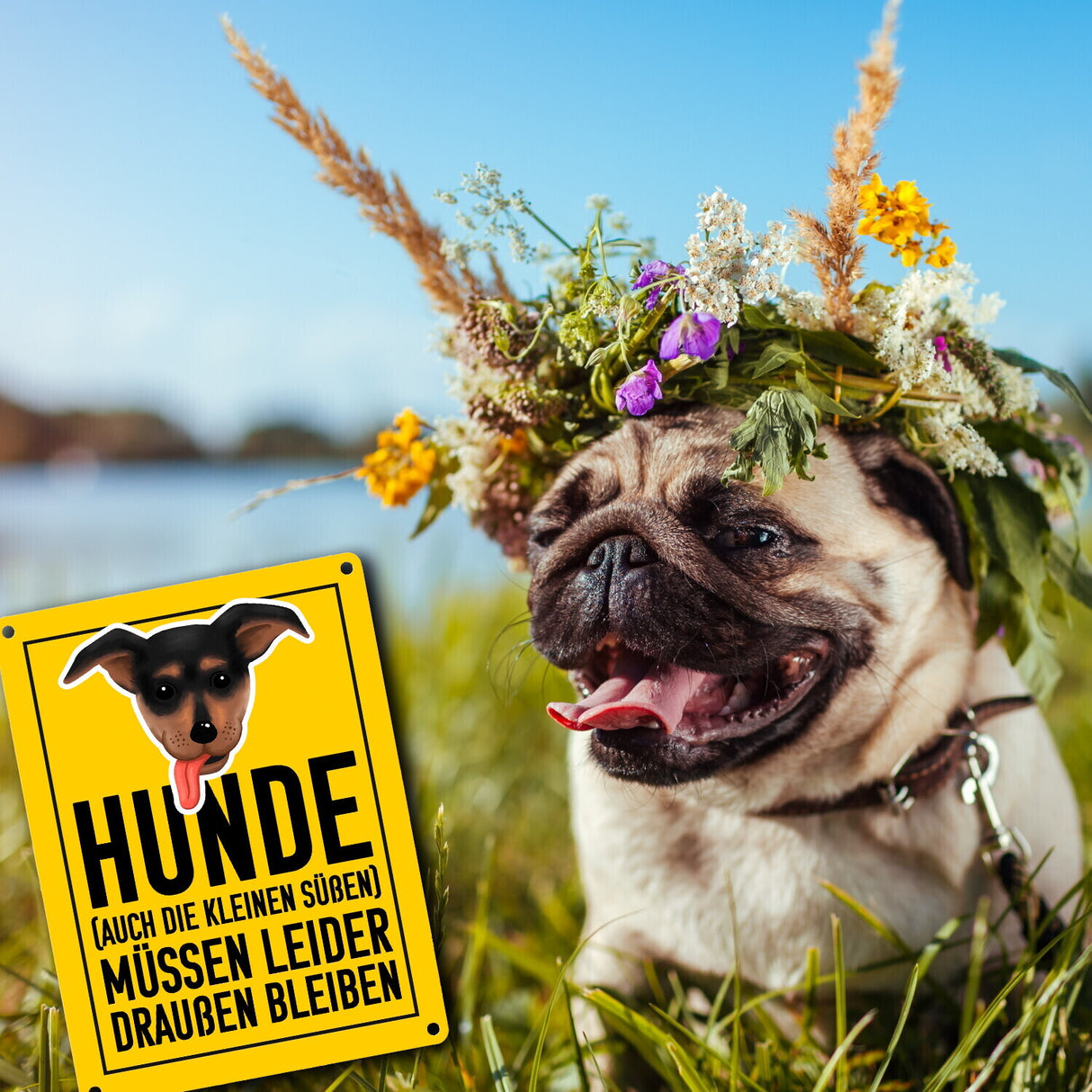 Hunde (auch die kleinen Süßen) müssen draußen bleiben Metallschild