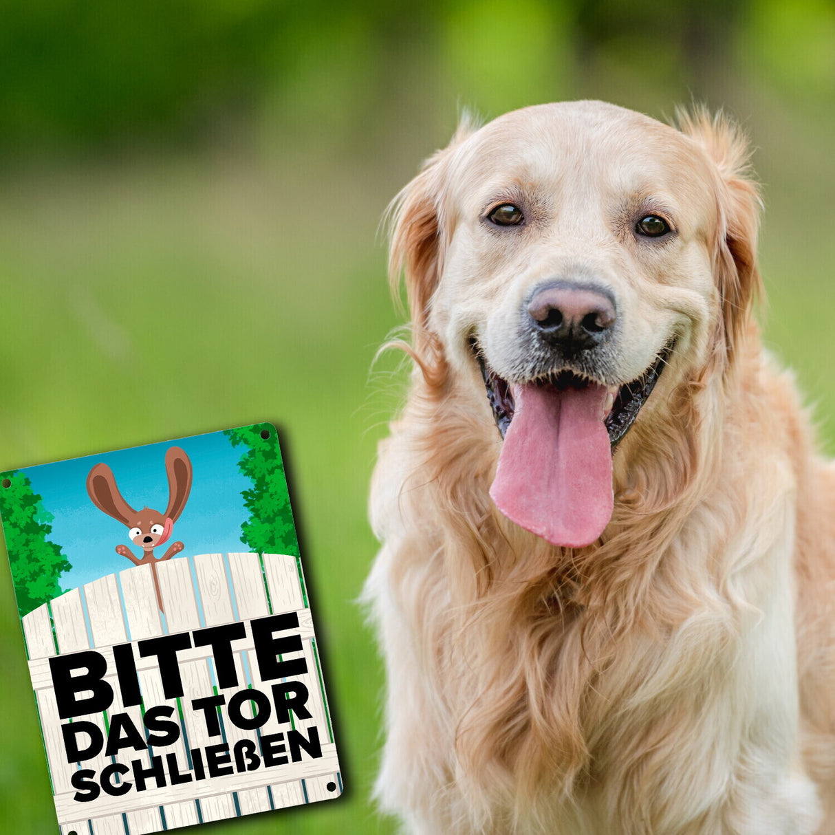 Bitte das Tor schließen Metallschild mit lustigem braunem Hund