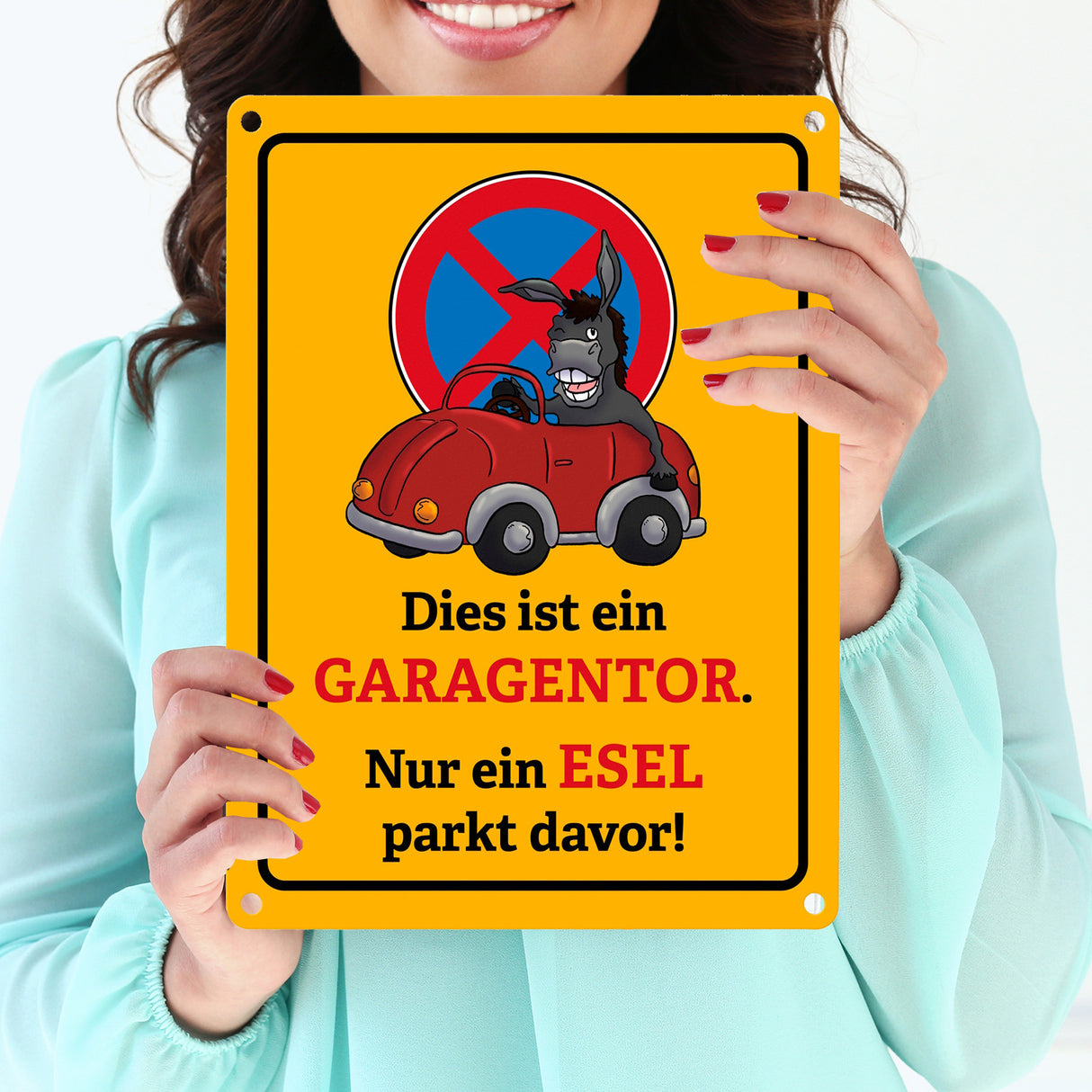 Dies ist ein Garagentor - nur ein Esel parkt davor Metallschild